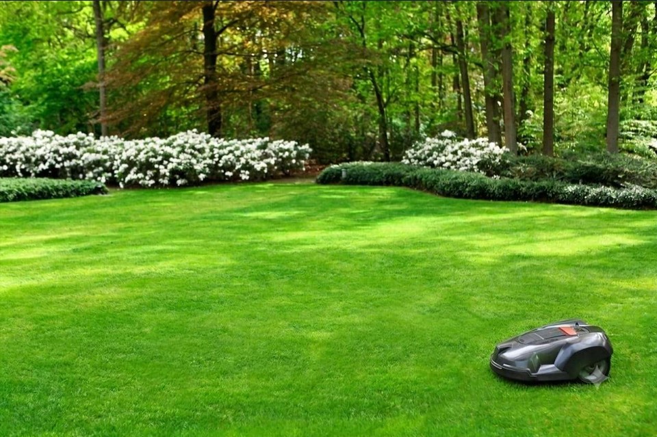 Jardin paysager et robot tondeuse